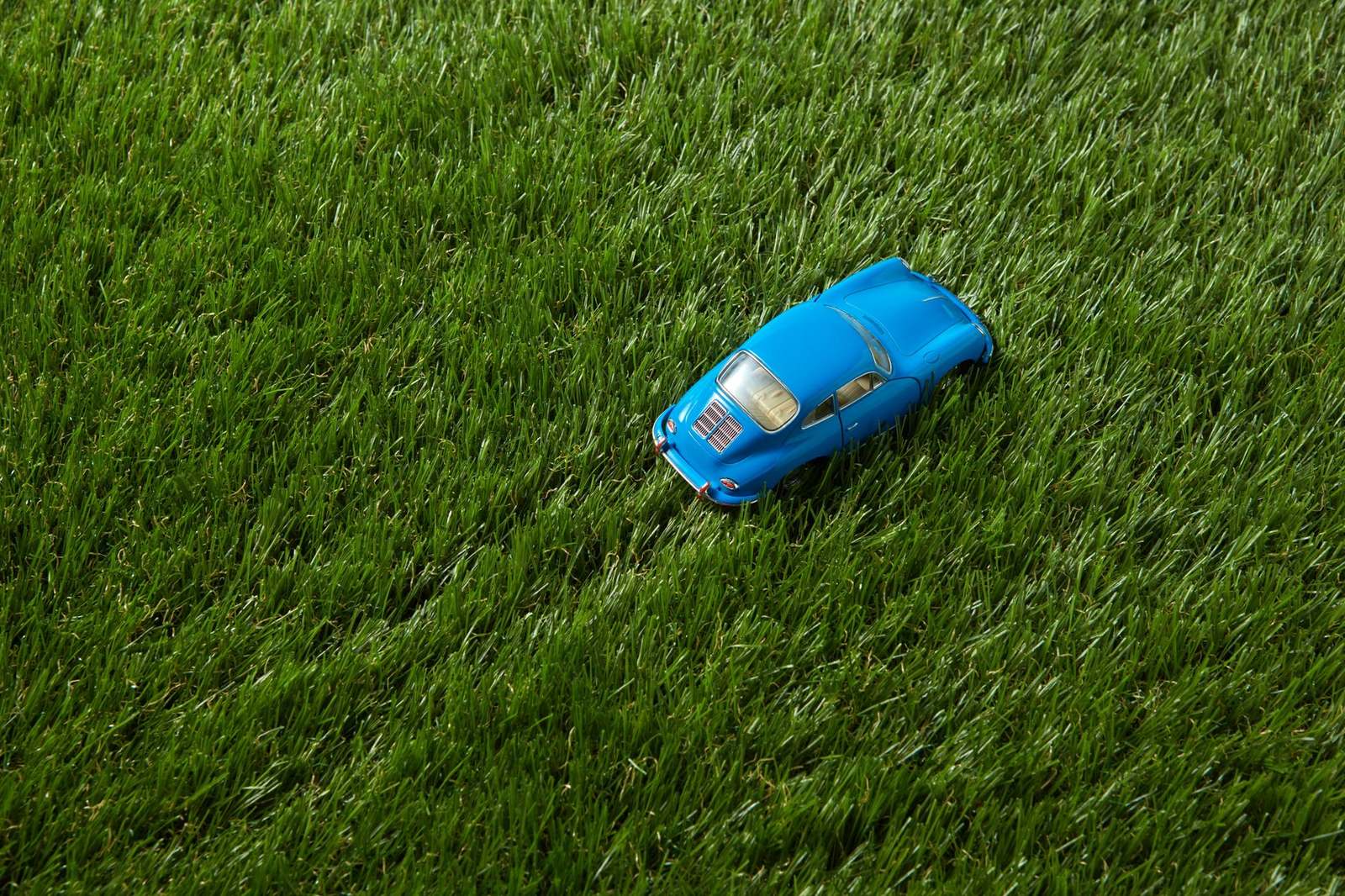 Artificial or Natural Grass? An Honest Comparison
