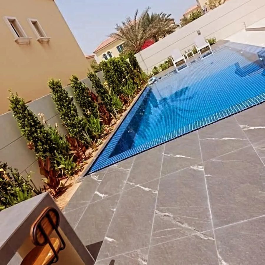 Lawn Care & Maintenance