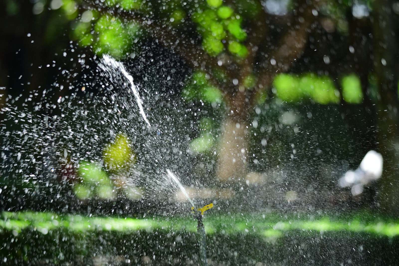 Irrigation System Installation — Alqamar Albariz Technical Services Works